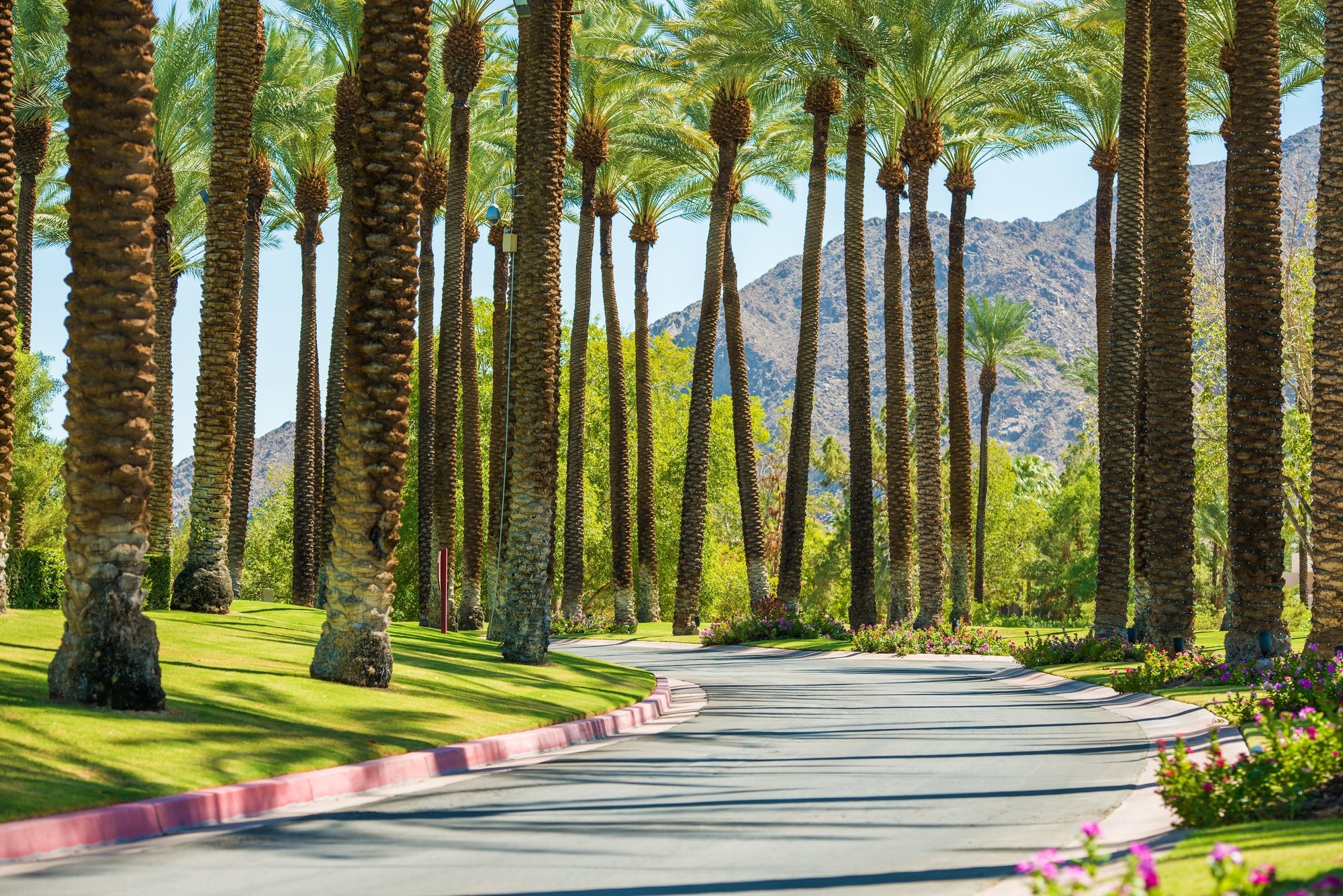 Palm Springs Road